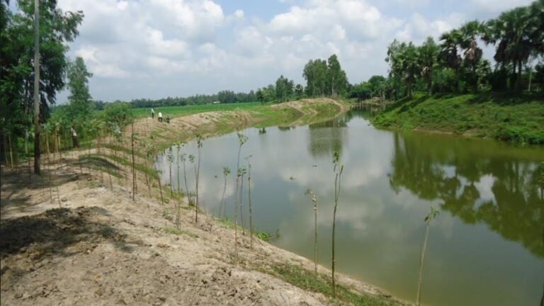 রাজশাহী অঞ্চলে আরো ৭১৫টি পুকুর পুন খনন করবে বিএমডিএ