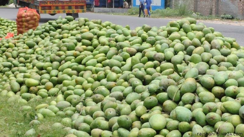 ঝড়ে পড়া রাজশাহীর আম বিক্রি হচ্ছে দুই থেকে পাঁচ টাকা কেজি দরে