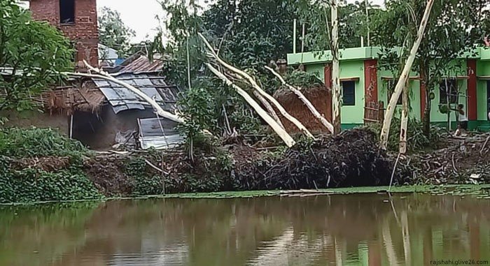 হঠাৎ ঝড়ে উড়ে গেল চালা ডাল ভেঙে প্রাণ গেল কৃষকের